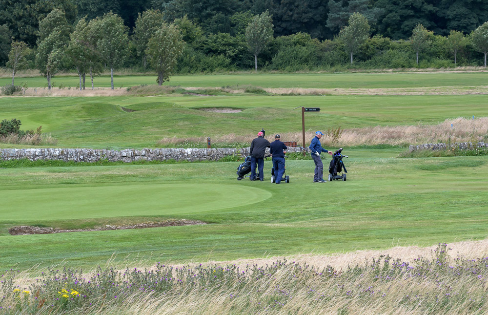 Course Gallery Elmwood Golf Course Gallery Elmwood Golf