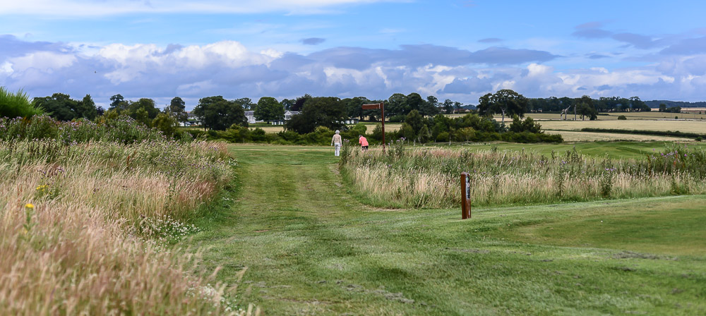 Course Gallery Elmwood Golf Course Gallery Elmwood Golf