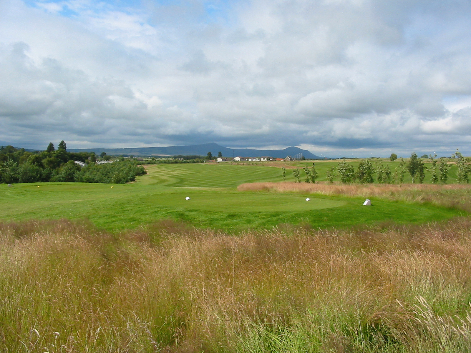 My Homepage Elmwood Golf